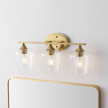 Jayne Iron/Glass Cottage Rustic LED Vanity Light